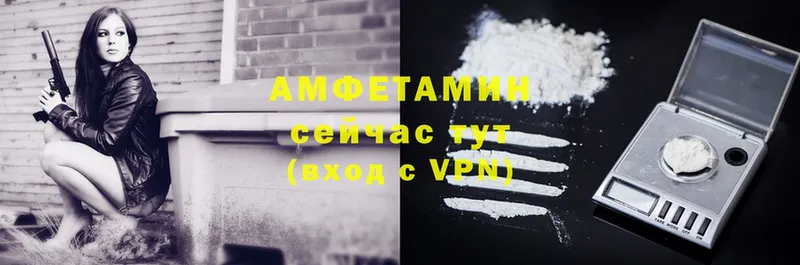 Amphetamine Розовый  Тавда 