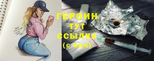 сатива Новокубанск