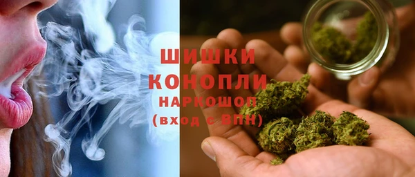 сатива Новокубанск