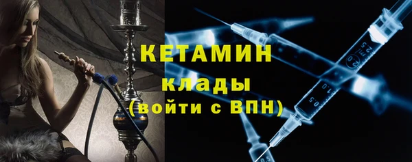 сатива Новокубанск