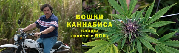 эйфоретик Новозыбков
