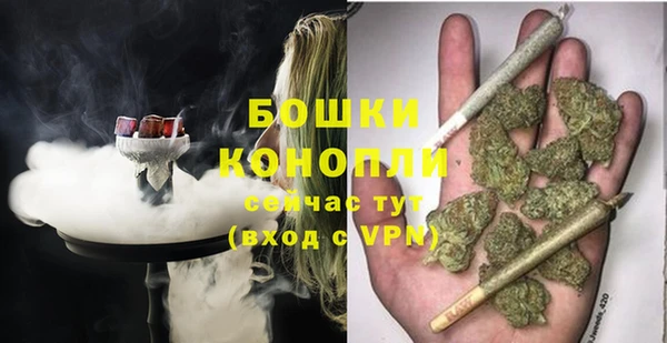сатива Новокубанск