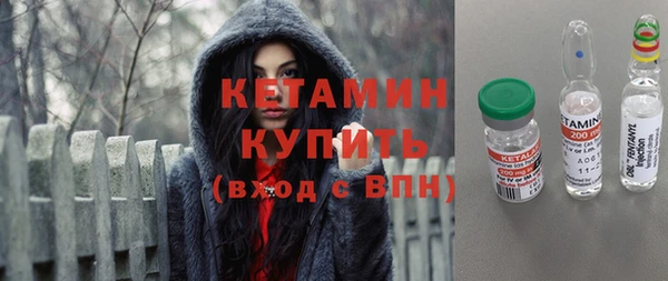 сатива Новокубанск