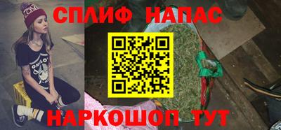стаф Донской
