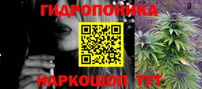 скорость Дубна