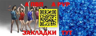 стаф Донской