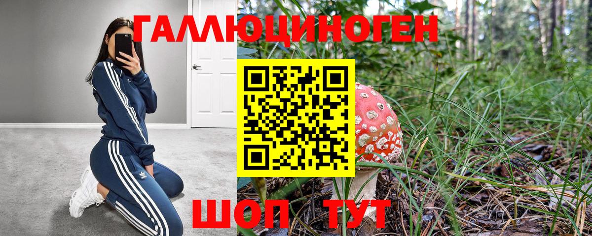 Псилоцибиновые грибы Cubensis  Вход с VPN  Псилоцибиновые грибы Psilocybe  дарнет шоп  Тавда 