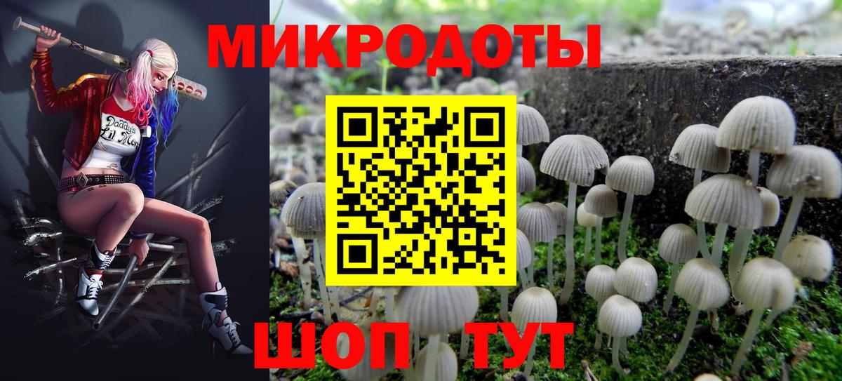 Галлюциногенные грибы MAGIC MUSHROOMS Тавда